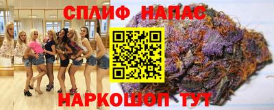 тгк Сланцы