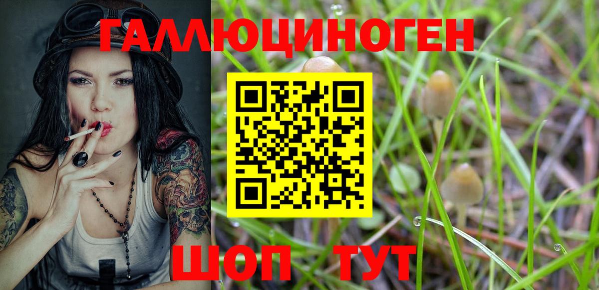 Псилоцибиновые грибы мухоморы  Вход с VPN  Белогорск 